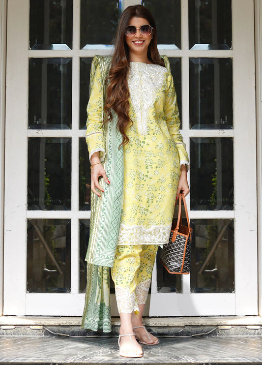 CT-9012 Radiant Essence - Mehr | Unstitched | 3 Piece