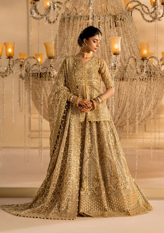 AIK BRIDALS WEDDING FESTIVE ’25 VOL. 1 - LOOK 05