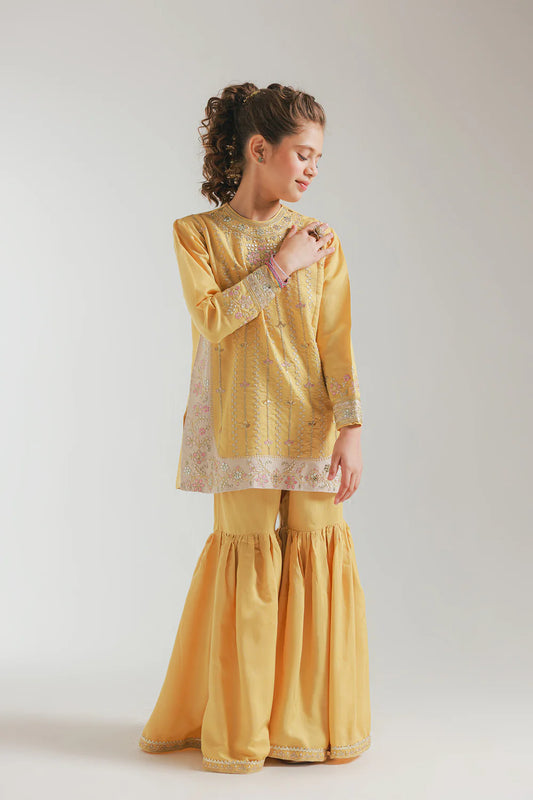 ETHNC GIRLS EMBROIDERED SUIT