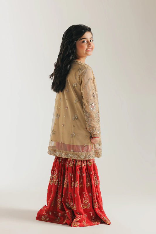 ETHNC GIRLS EMBROIDERED SUIT