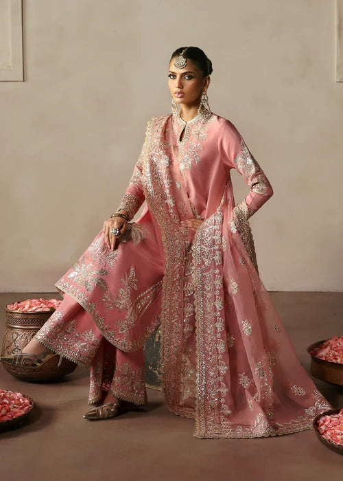 AFZ-GULRUKH-AS-V3-24-10