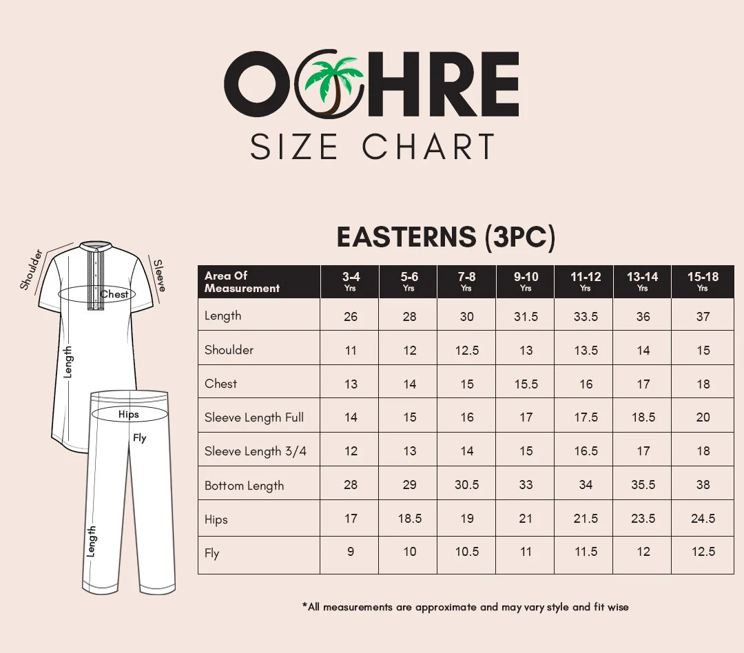 CHIFFON EMBROIDERED 3 PC SUIT