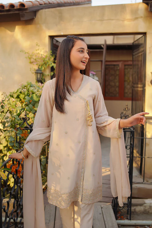 Chiffon Embroidered 3 Pc Suit
