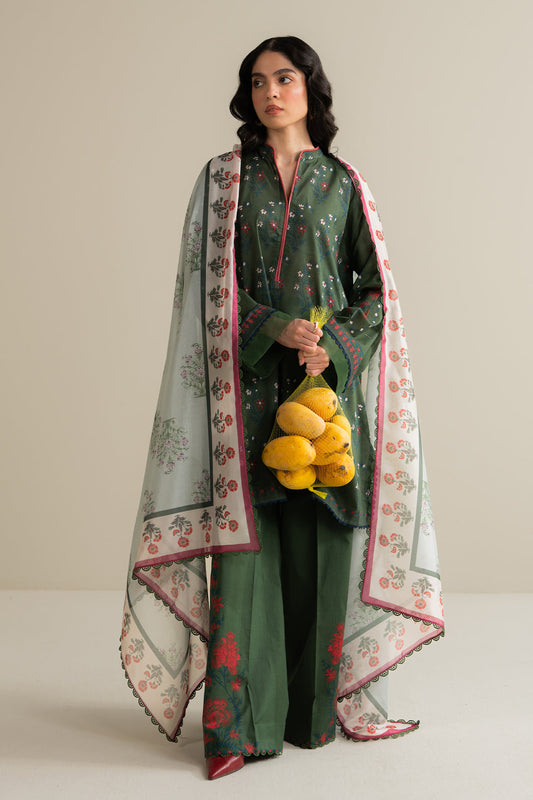 COCOBYZARASHAHJAHAN

TINSA-3A