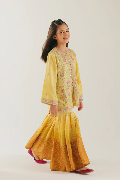 ETHNC GIRLS EMBROIDERED SUIT
