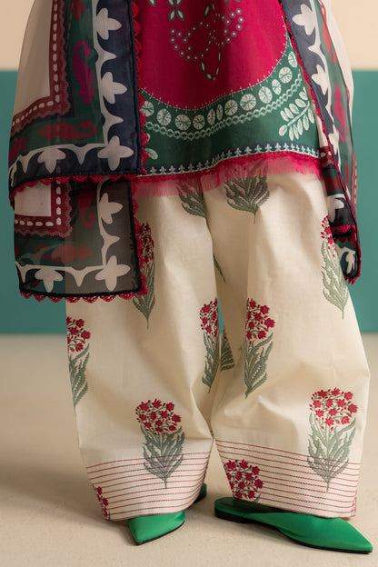 COCOBYZARASHAHJAHAN

NELEA-2B