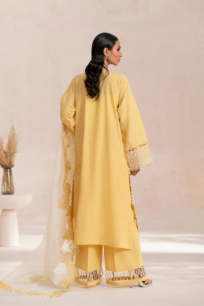 ETHNC WOMEN EMBROIDERED SUIT