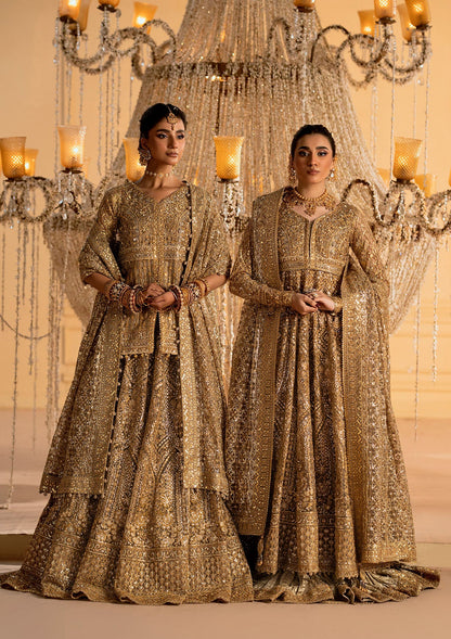 AIK BRIDALS WEDDING FESTIVE ’25 VOL. 1 - LOOK 05