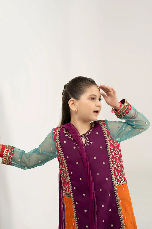 MARIAB GIRLS 3 Piece Embroidered Poly Organza Suit