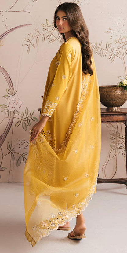 AMBER GLOW-3PC CHIKANKARI SUIT