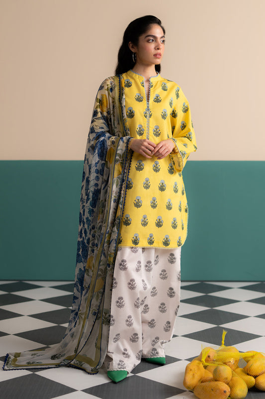 COCOBYZARASHAHJAHAN

ZOFI-4A