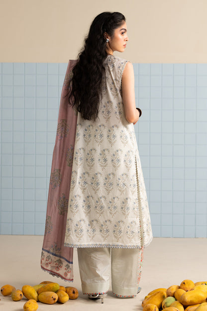 COCOBYZARASHAHJAHAN

TINSA-3B