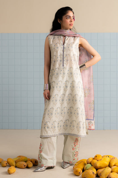 COCOBYZARASHAHJAHAN

TINSA-3B