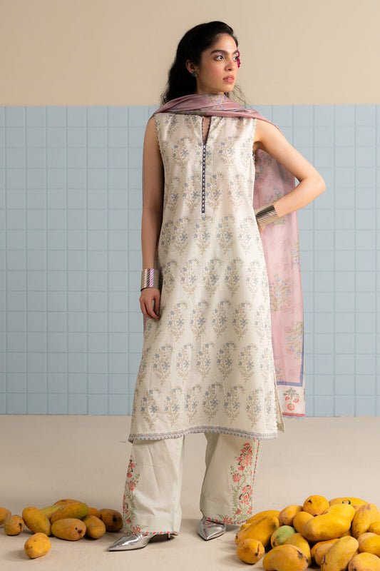 COCOBYZARASHAHJAHAN

TINSA-3B