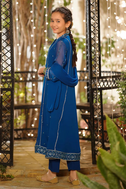 CHIFFON EMBROIDERED 3 PC SUIT