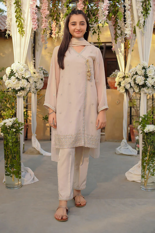 Chiffon Embroidered 3 Pc Suit