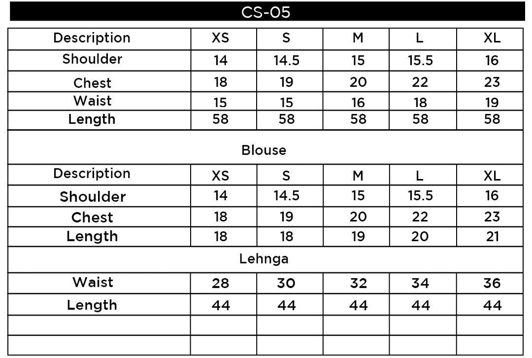 CS-05